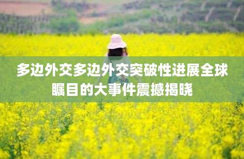 多边外交多边外交突破性进展全球瞩目的大事件震撼揭晓