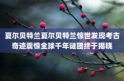夏尔贝特兰夏尔贝特兰惊世发现考古奇迹震惊全球千年谜团终于揭晓