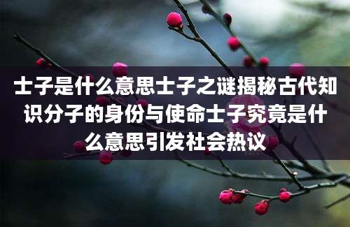 士子是什么意思士子之谜揭秘古代知识分子的身份与使命士子究竟是什么意思引发社会热议