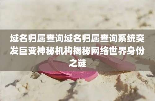 域名归属查询域名归属查询系统突发巨变神秘机构揭秘网络世界身份之谜