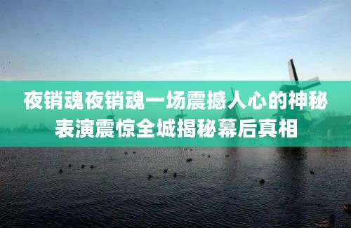 夜销魂夜销魂一场震撼人心的神秘表演震惊全城揭秘幕后真相