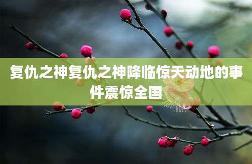 复仇之神复仇之神降临惊天动地的事件震惊全国