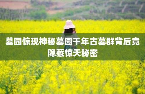 墓园惊现神秘墓园千年古墓群背后竟隐藏惊天秘密