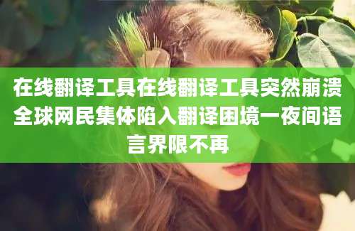 在线翻译工具在线翻译工具突然崩溃全球网民集体陷入翻译困境一夜间语言界限不再