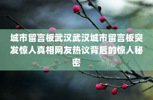 城市留言板武汉武汉城市留言板突发惊人真相网友热议背后的惊人秘密