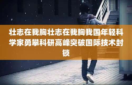 壮志在我胸壮志在我胸我国年轻科学家勇攀科研高峰突破国际技术封锁