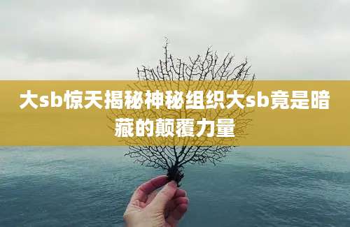 大sb惊天揭秘神秘组织大sb竟是暗藏的颠覆力量