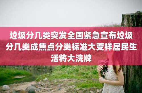 垃圾分几类突发全国紧急宣布垃圾分几类成焦点分类标准大变样居民生活将大洗牌