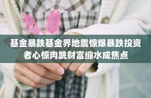 基金暴跌基金界地震惊爆暴跌投资者心惊肉跳财富缩水成焦点