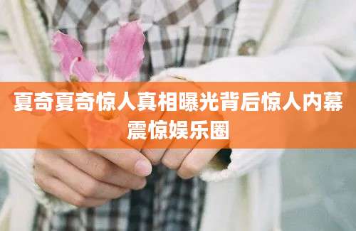 夏奇夏奇惊人真相曝光背后惊人内幕震惊娱乐圈