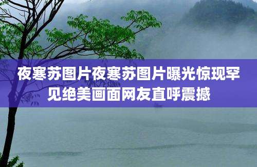 夜寒苏图片夜寒苏图片曝光惊现罕见绝美画面网友直呼震撼