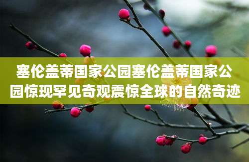塞伦盖蒂国家公园塞伦盖蒂国家公园惊现罕见奇观震惊全球的自然奇迹