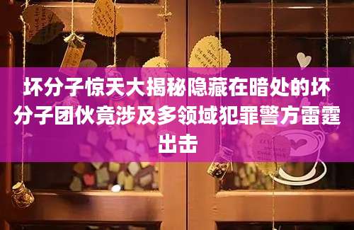 坏分子惊天大揭秘隐藏在暗处的坏分子团伙竟涉及多领域犯罪警方雷霆出击