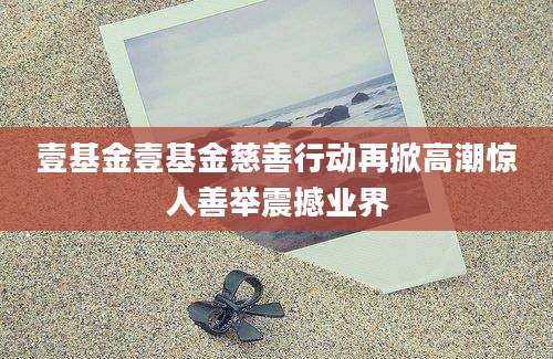 壹基金壹基金慈善行动再掀高潮惊人善举震撼业界