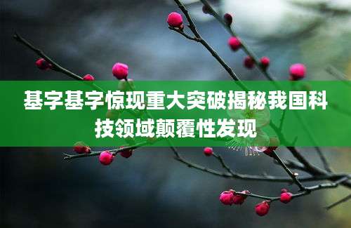 基字基字惊现重大突破揭秘我国科技领域颠覆性发现