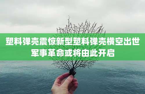 塑料弹壳震惊新型塑料弹壳横空出世军事革命或将由此开启