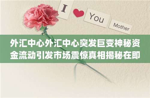 外汇中心外汇中心突发巨变神秘资金流动引发市场震惊真相揭秘在即