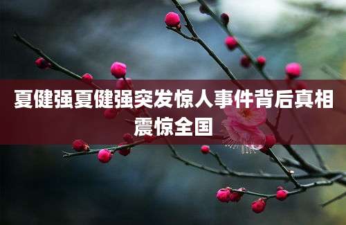 夏健强夏健强突发惊人事件背后真相震惊全国