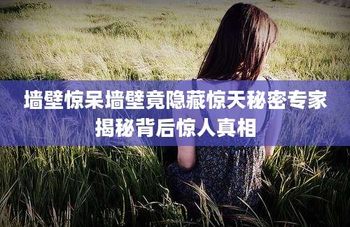 墙壁惊呆墙壁竟隐藏惊天秘密专家揭秘背后惊人真相