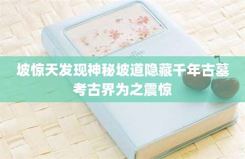 坡惊天发现神秘坡道隐藏千年古墓考古界为之震惊