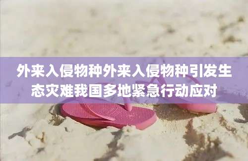 外来入侵物种外来入侵物种引发生态灾难我国多地紧急行动应对