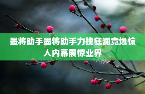 墨将助手墨将助手力挽狂澜竟爆惊人内幕震惊业界