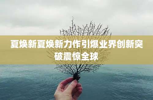 夏焕新夏焕新力作引爆业界创新突破震惊全球