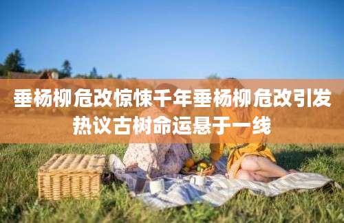 垂杨柳危改惊悚千年垂杨柳危改引发热议古树命运悬于一线