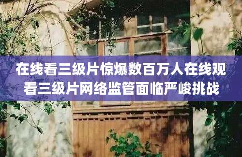 在线看三级片惊爆数百万人在线观看三级片网络监管面临严峻挑战