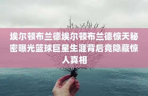 埃尔顿布兰德埃尔顿布兰德惊天秘密曝光篮球巨星生涯背后竟隐藏惊人真相