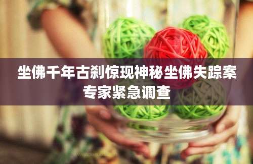 坐佛千年古刹惊现神秘坐佛失踪案专家紧急调查