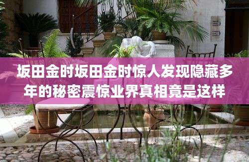 坂田金时坂田金时惊人发现隐藏多年的秘密震惊业界真相竟是这样
