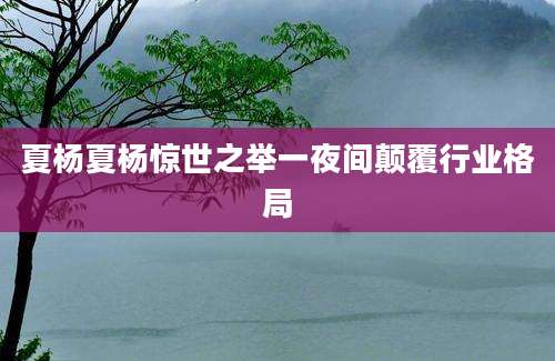 夏杨夏杨惊世之举一夜间颠覆行业格局