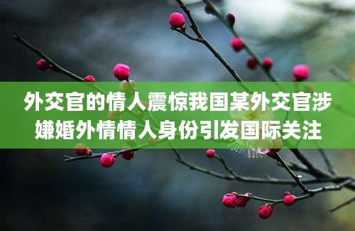 外交官的情人震惊我国某外交官涉嫌婚外情情人身份引发国际关注