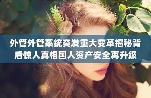 外管外管系统突发重大变革揭秘背后惊人真相国人资产安全再升级
