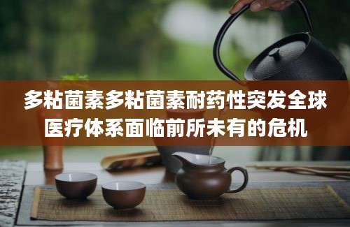 多粘菌素多粘菌素耐药性突发全球医疗体系面临前所未有的危机