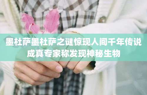 墨杜萨墨杜萨之谜惊现人间千年传说成真专家称发现神秘生物