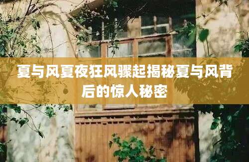 夏与风夏夜狂风骤起揭秘夏与风背后的惊人秘密