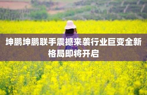 坤鹏坤鹏联手震撼来袭行业巨变全新格局即将开启
