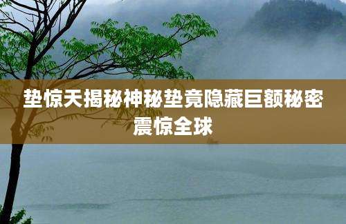 垫惊天揭秘神秘垫竟隐藏巨额秘密震惊全球