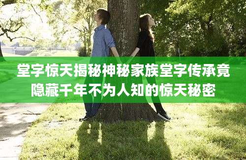 堂字惊天揭秘神秘家族堂字传承竟隐藏千年不为人知的惊天秘密