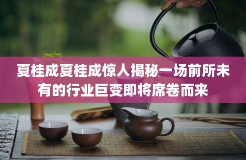夏桂成夏桂成惊人揭秘一场前所未有的行业巨变即将席卷而来