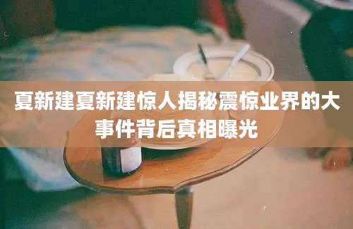 夏新建夏新建惊人揭秘震惊业界的大事件背后真相曝光