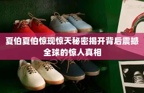 夏伯夏伯惊现惊天秘密揭开背后震撼全球的惊人真相