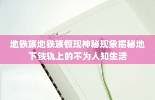 地铁族地铁族惊现神秘现象揭秘地下铁轨上的不为人知生活