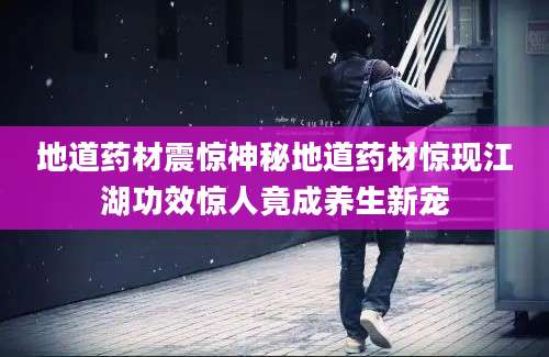 地道药材震惊神秘地道药材惊现江湖功效惊人竟成养生新宠
