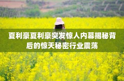 夏利豪夏利豪突发惊人内幕揭秘背后的惊天秘密行业震荡