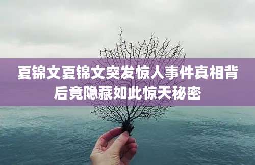 夏锦文夏锦文突发惊人事件真相背后竟隐藏如此惊天秘密