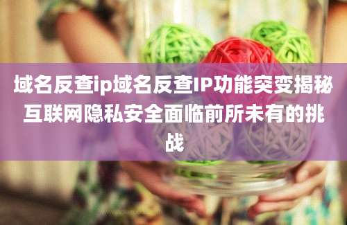 域名反查ip域名反查IP功能突变揭秘互联网隐私安全面临前所未有的挑战
