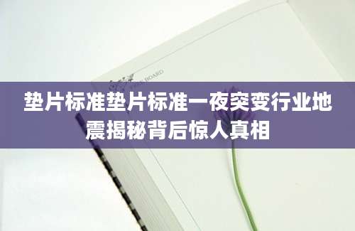 垫片标准垫片标准一夜突变行业地震揭秘背后惊人真相